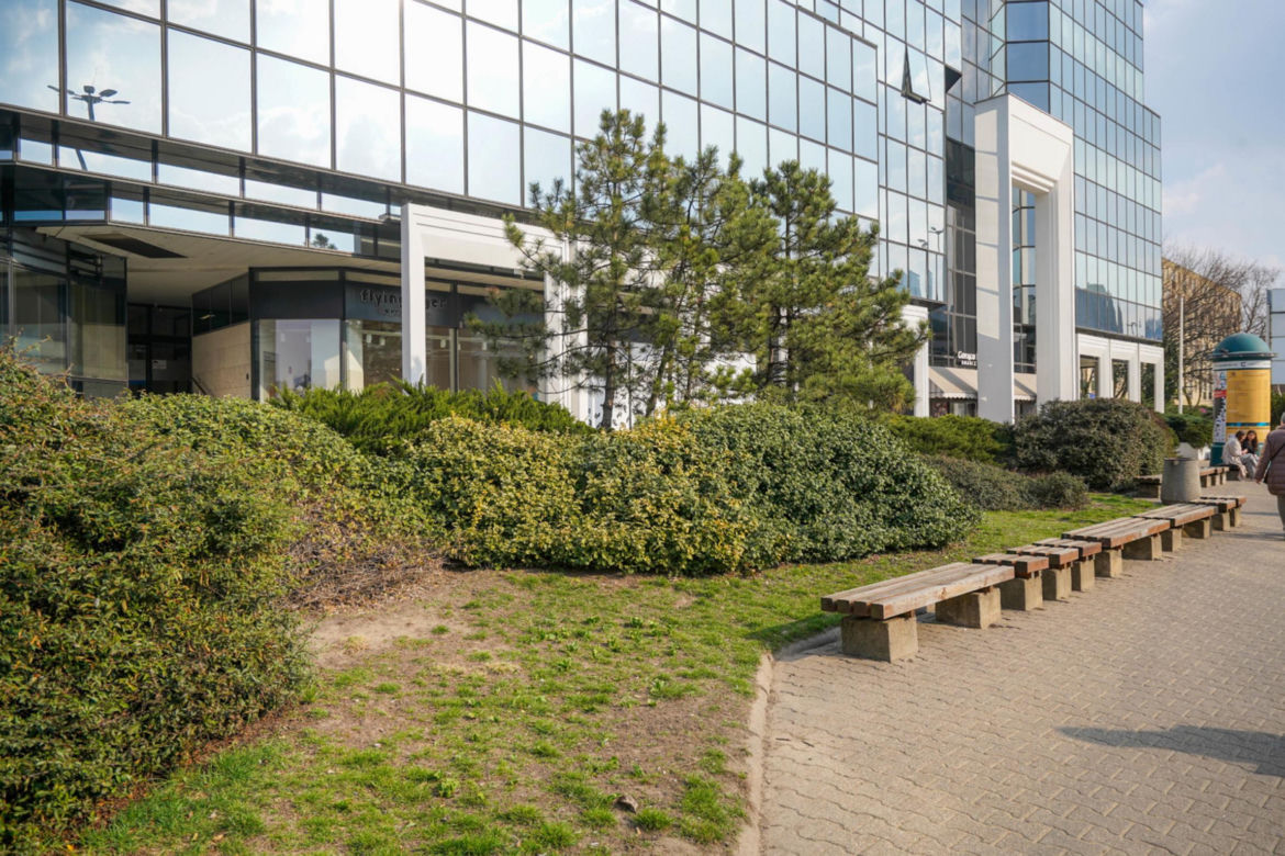 Warszawa ma nowy pomysł na plac Bankowy. Elegancka zieleń i płyty z granitu