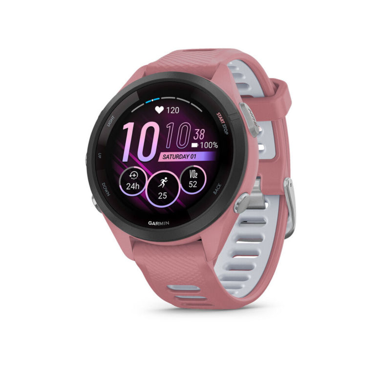 Garmin 265