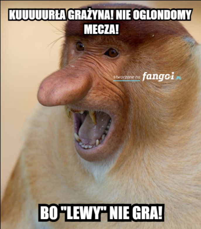 Memy po meczu Polska - Rosja