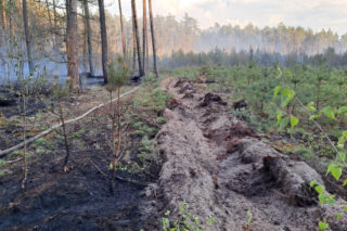 Nadleśnictwo Parczew