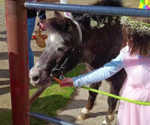 Konna święconka w Szczecinie