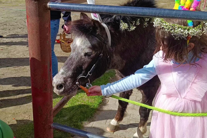 Konna święconka w Szczecinie