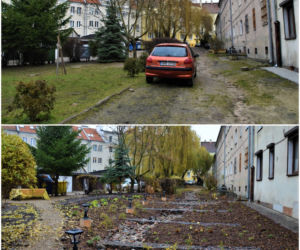 Podwórka z Natury 2020. Zobacz zdjęcia z tegorocznych metamorfoz