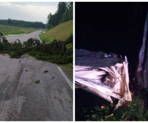 Burza na Warmii i Mazurach. Powalone drzewa, brak prądu i ewakuacja obozów harcerskich [FOTO]