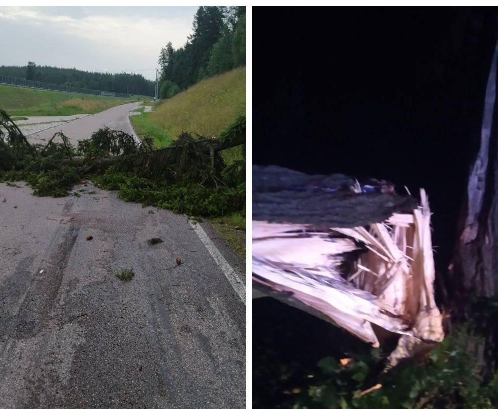 Burza na Warmii i Mazurach. Powalone drzewa, brak prądu i ewakuacja obozów harcerskich [FOTO]