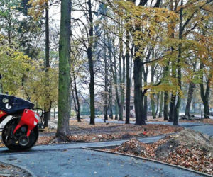 Remont parku Łyczywka