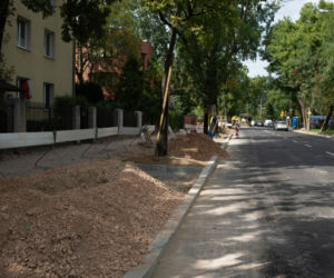 Więcej zieleni w Warszawie