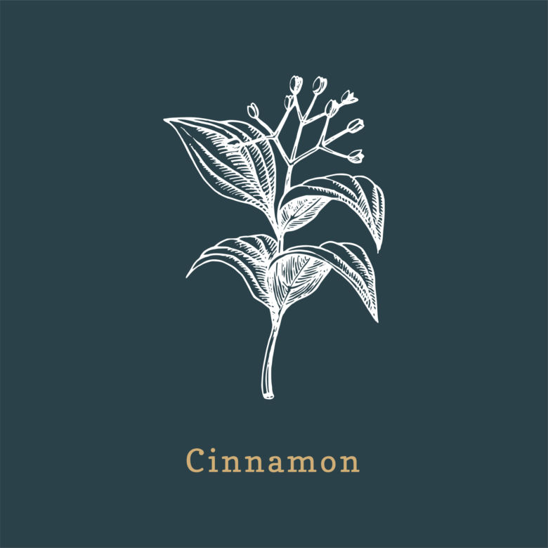 Cynamon