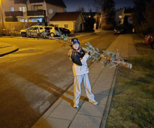 Nietypowa świąteczna tradycja. Co roku wybierają najbrzydsze drzewko w sklepie!