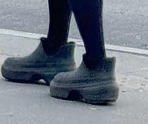 Tak Damięcka dba o psa