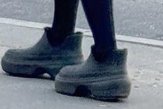 Tak Damięcka dba o psa