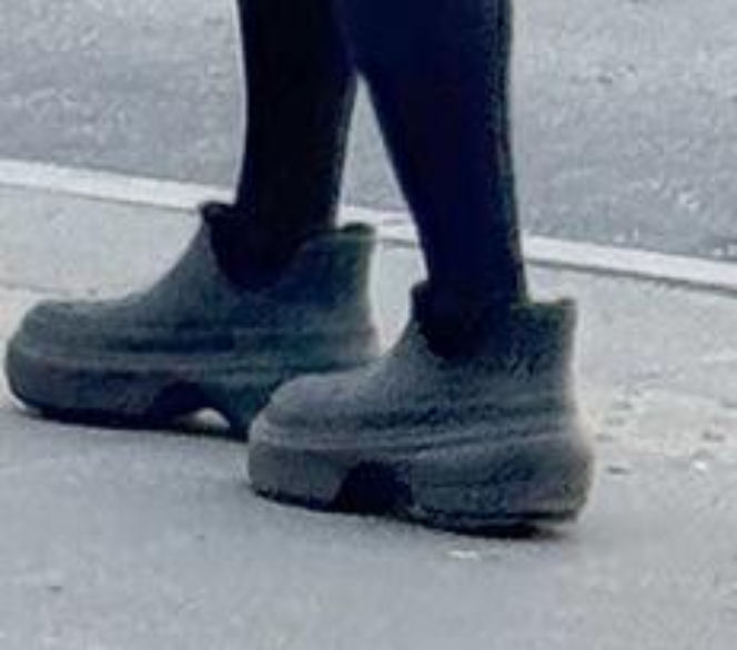 Tak Damięcka dba o psa