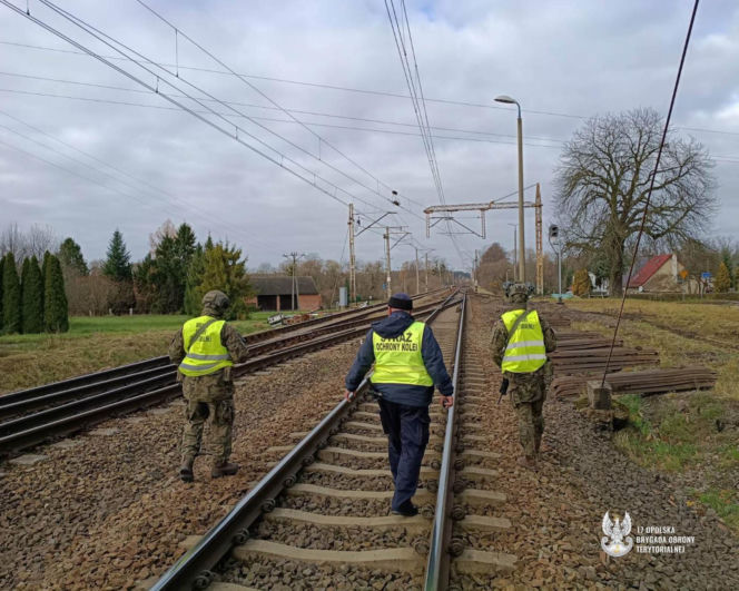 Żołnierze WOT jak policjanci? Mogą legitymować i zatrzymywać