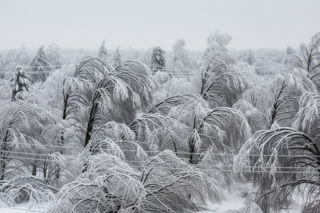 Atak zimy na Podkarpaciu. Dlaczego dziesiątki tysięcy domów wciąż tkwi w ciemności?