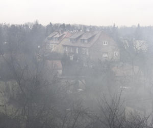 Pożar na wrocławskim Sępolnie we Wrocławiu 