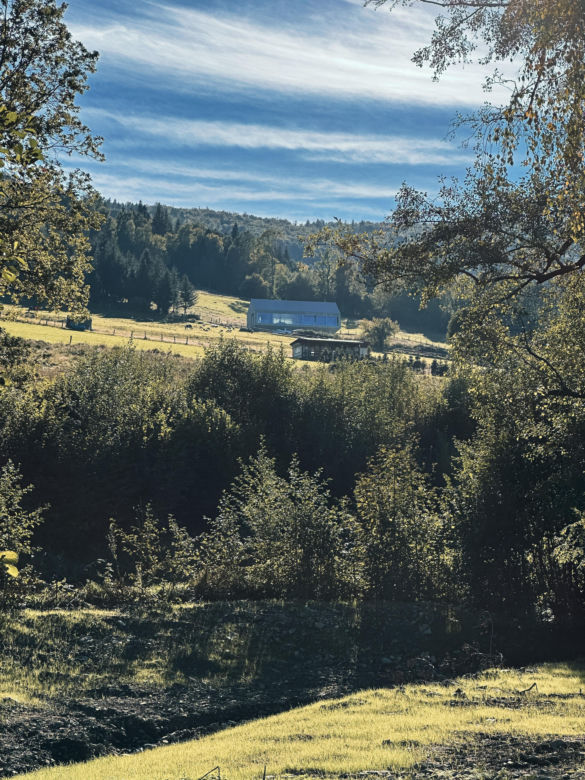 Arka w Brennej
