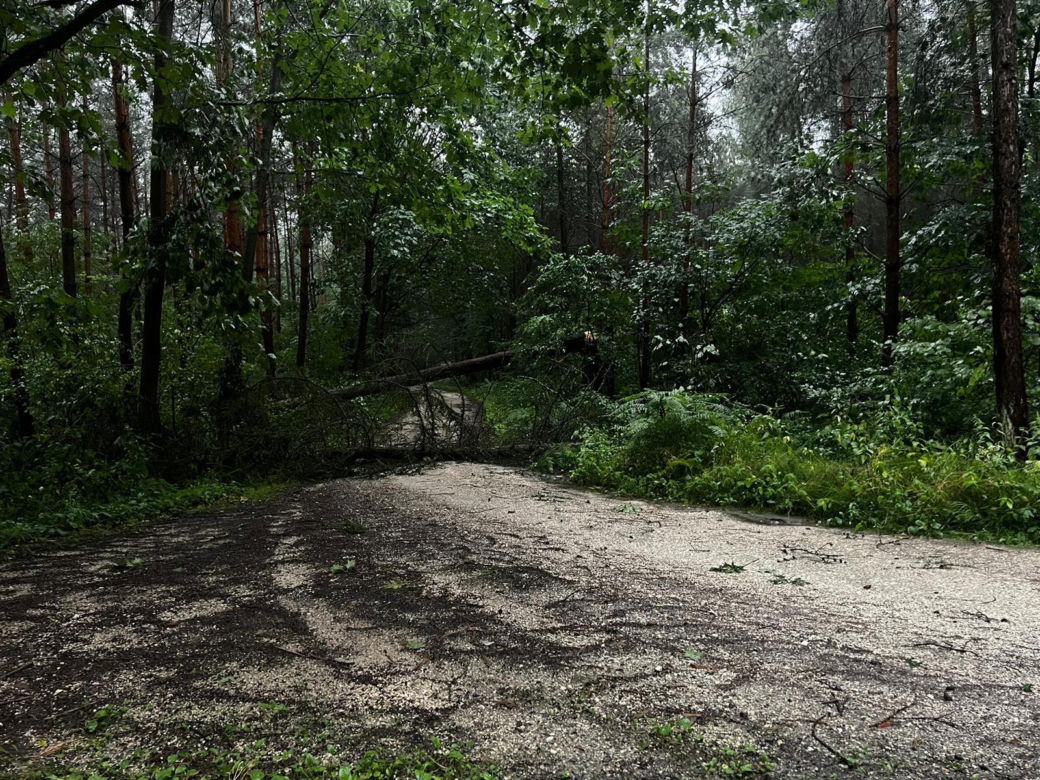 Nawałnice w Małopolsce. Setki interwencji straży pożarnej