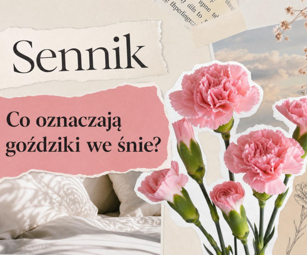 Różowe goździki na tle łóżka i nieba. O znaczeniu snu o kwiatach przeczytasz na SE.