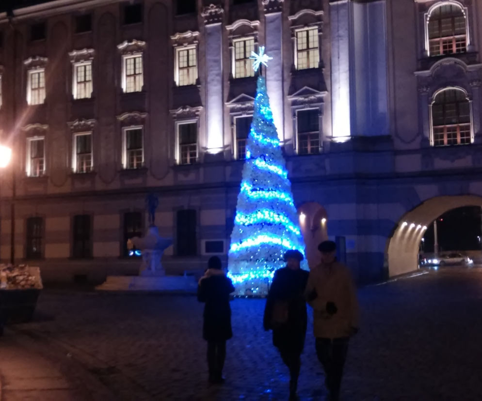 Choinki we Wrocławiu