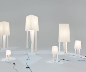 Lampy Genotyp