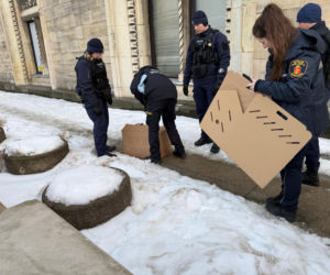 Nie żyje Giga - samica sokoła wędrownego związana z Pałacem Kultury i Nauki
