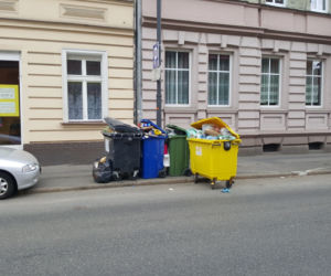 Bydgoszczanie mają już dość! Wciąż toną w śmieciach!