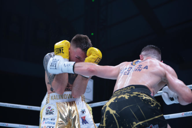 Kalinowski - Stępień