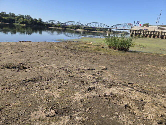Tak źle jeszcze nie było! Rekordowo niski stan Wisły w Fordonie