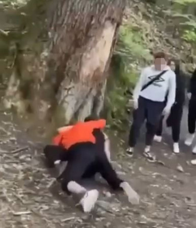 Brutalna bójka dwóch nastolatek w Gorlicach! Świadkowie jeszcze zagrzewali je do walki [ZDJĘCIA]