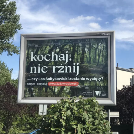 ,,Kochaj - nie rżnij’’ i ,,Chcemy bzykać w spokoju’’. Hasła na wrocławskich billboardach to HIT 