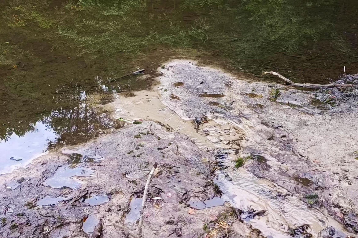 Wyschnięty Staw Wędkarski w Szczecinie
