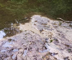 Wyschnięty Staw Wędkarski w Szczecinie