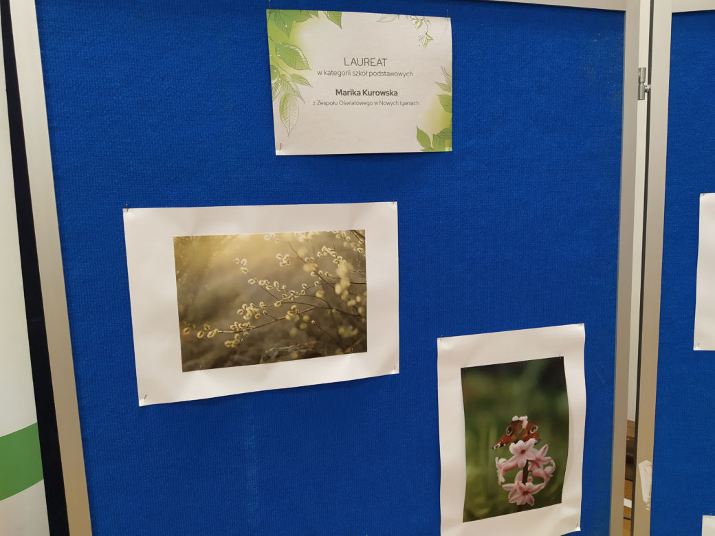 Podsumowanie konkursu "Wiosna w obiektywie" – FOTORELACJA 