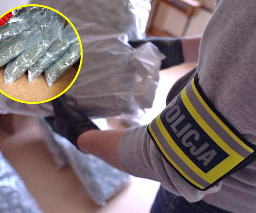 30 kilogramów narkotyków i trzech pseudokibiców w kajdankach. Spektakularna akcja policji