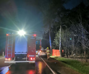Nastolatek zginął w wypadku samochodowym w woj. lubelskim