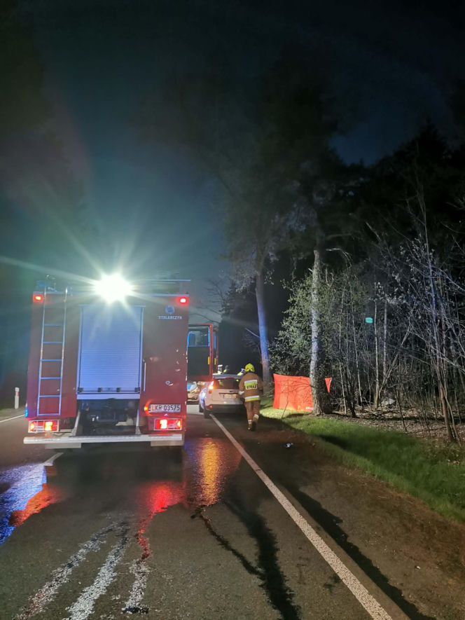 Nastolatek zginął w wypadku samochodowym w woj. lubelskim