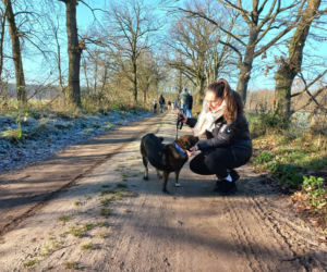 Bieg + 4 Łapy. Czy znajdą po nim dom?