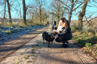 Bieg + 4 Łapy za nami. Wyjątkowy dzień w schronisku w Henrykowie koło Leszna [ZDJĘCIA]