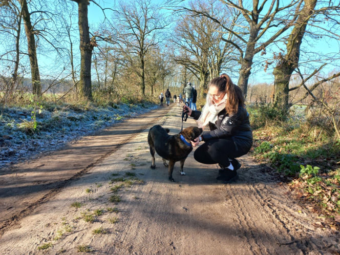 "Bieg + 4 Łapy" za nami. Wyjątkowy dzień w schronisku w Henrykowie koło Leszna