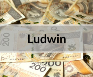 7. Ludwin