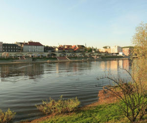 Piknik nad Wartą