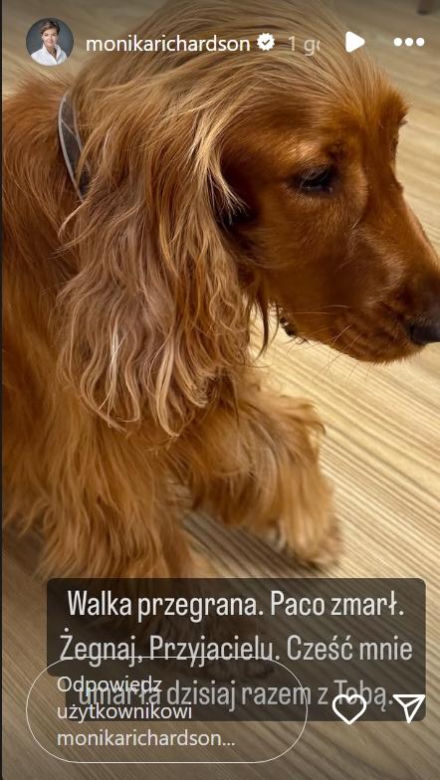 Paco, pies Moniki Richardson