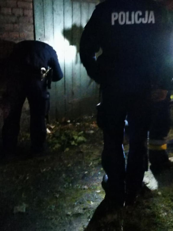 Bytom: Dramatyczna akcja służb. Szukali KOCICH DZIECI! Ich mama zginęła pod kołami
