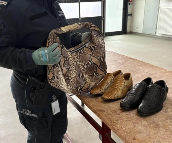 Torebka z pytona i buty z krokodyla. Udaremniony przemyt na granicy