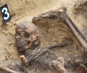 Historyczne znalezisko w warszawskim lesie. Doły śmierci na Białołęce. Wśród ofiar kobieta z długim warkoczem 