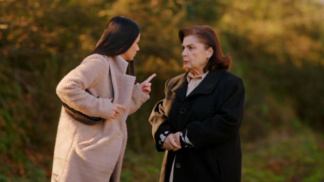 Miłość i nadzieja, odc. 376. Bahar, Naciye