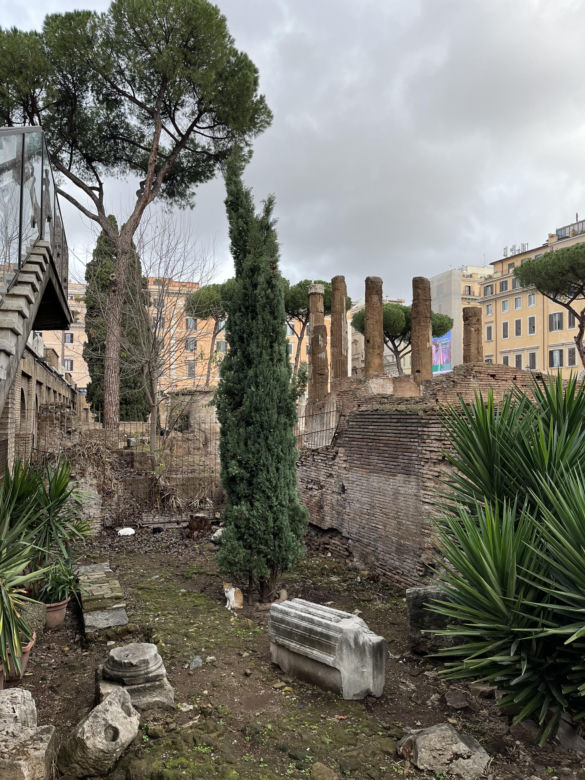 Largo Argentina w Rzymie. Koty zamieszkały w starożytnych ruinach - zobacz zdjęcia