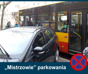 Mistrzowie Parkowania: Zobacz najbardziej kuriozalne pomysły kierowców