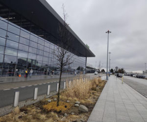 Ryanair ogłasza nową siatkę połączeń na lato 2026