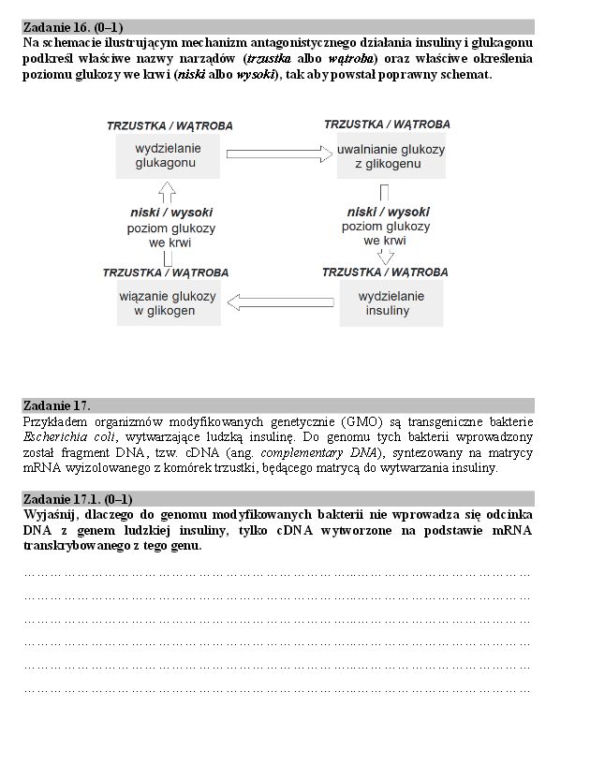 Matura biologia16